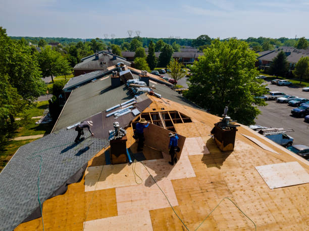 Trusted Roof Replacement service in Dwight, IL - Brentwood Metal Roofing